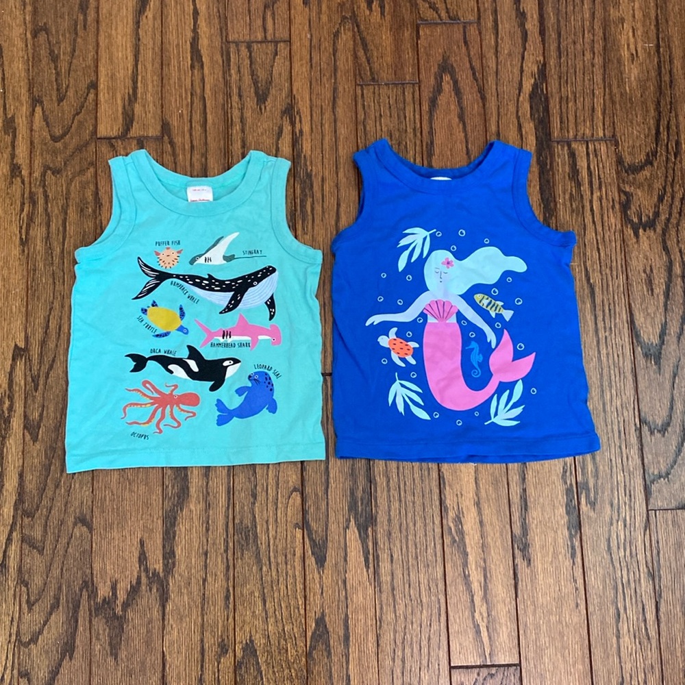 Lot of Two Hanna Andersson Summer Tank Tops
